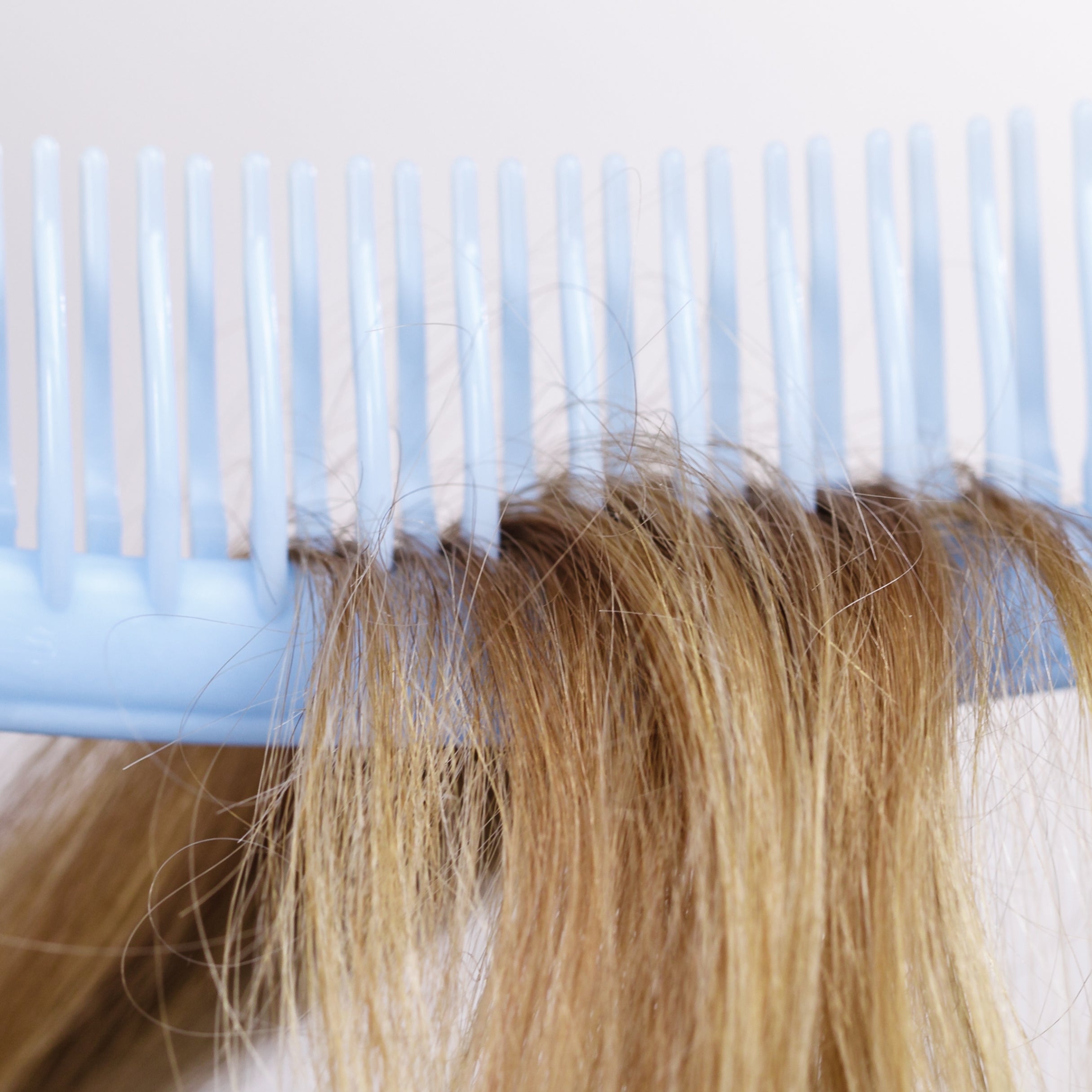 Dry Hair