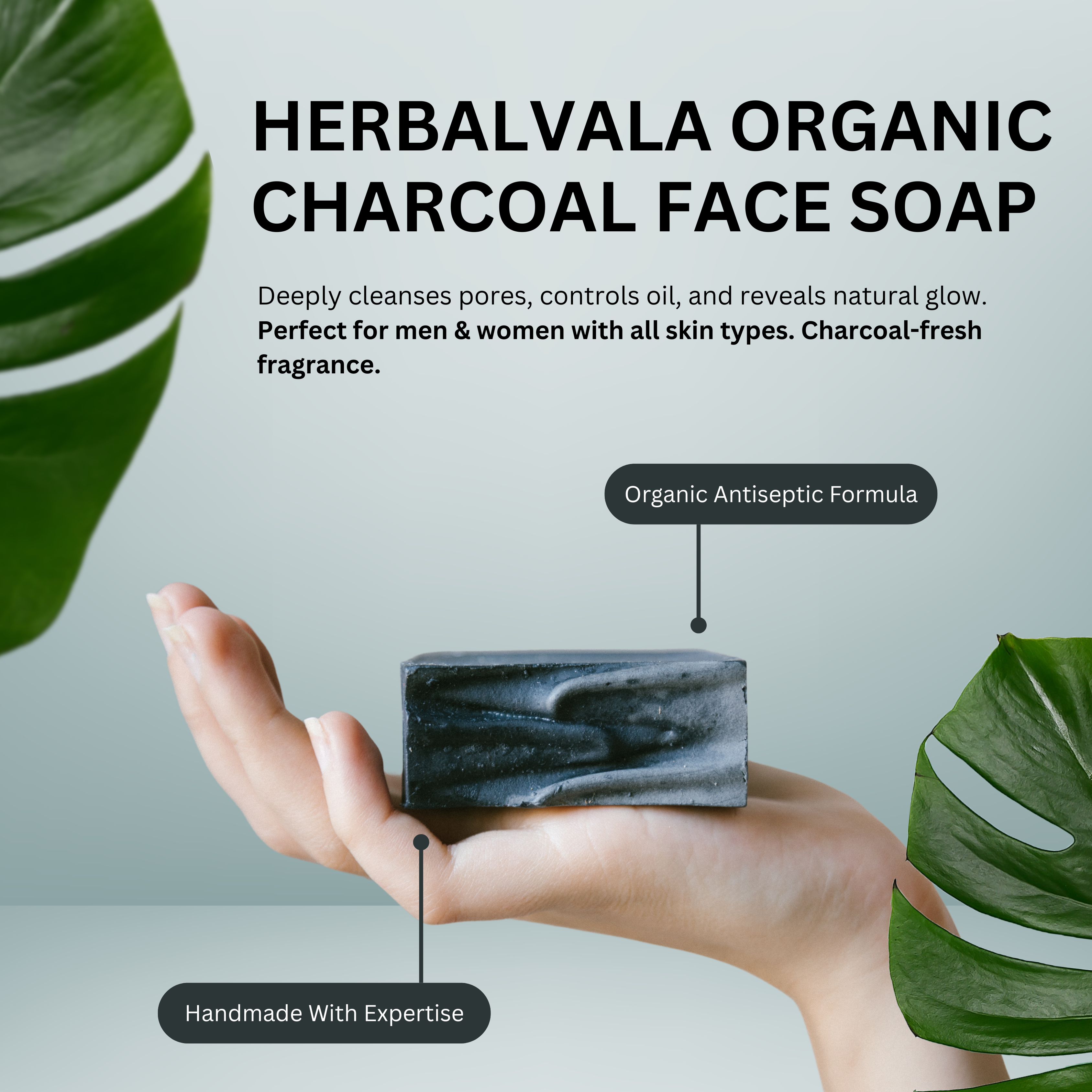 Herbalvala Organic Charcoal Face Soap for Radiant Glow || Detox Bathing Soap || Body Cleansing || Organic Face Soap || Pollution Damage Control || Natural Soap – Pack of 3
