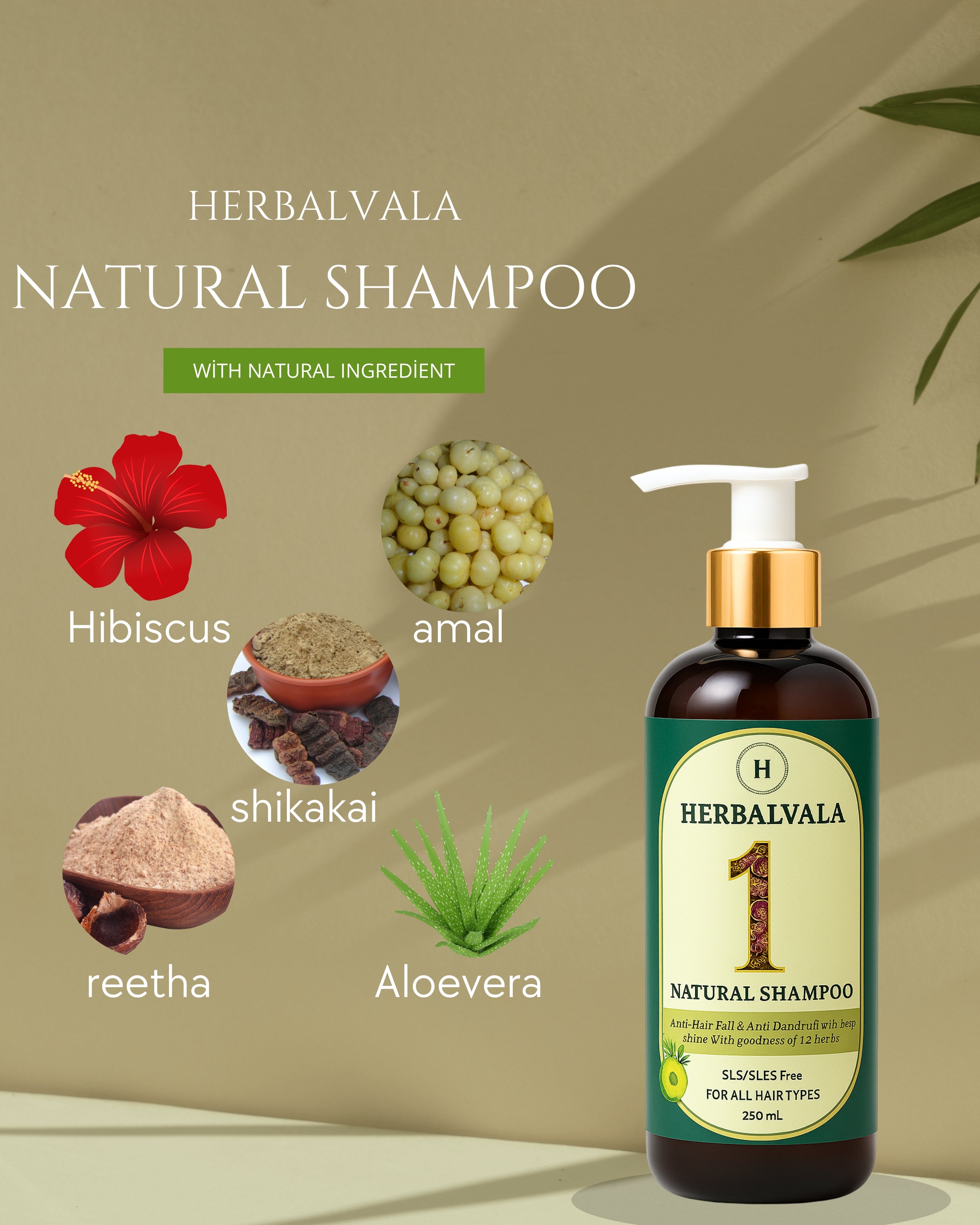 Herbalvala Natural Shampoo || Anti Hairfall & Anti Dandruff Shampoo || Shine with Goodness of 12 Herbs || All Hair Type