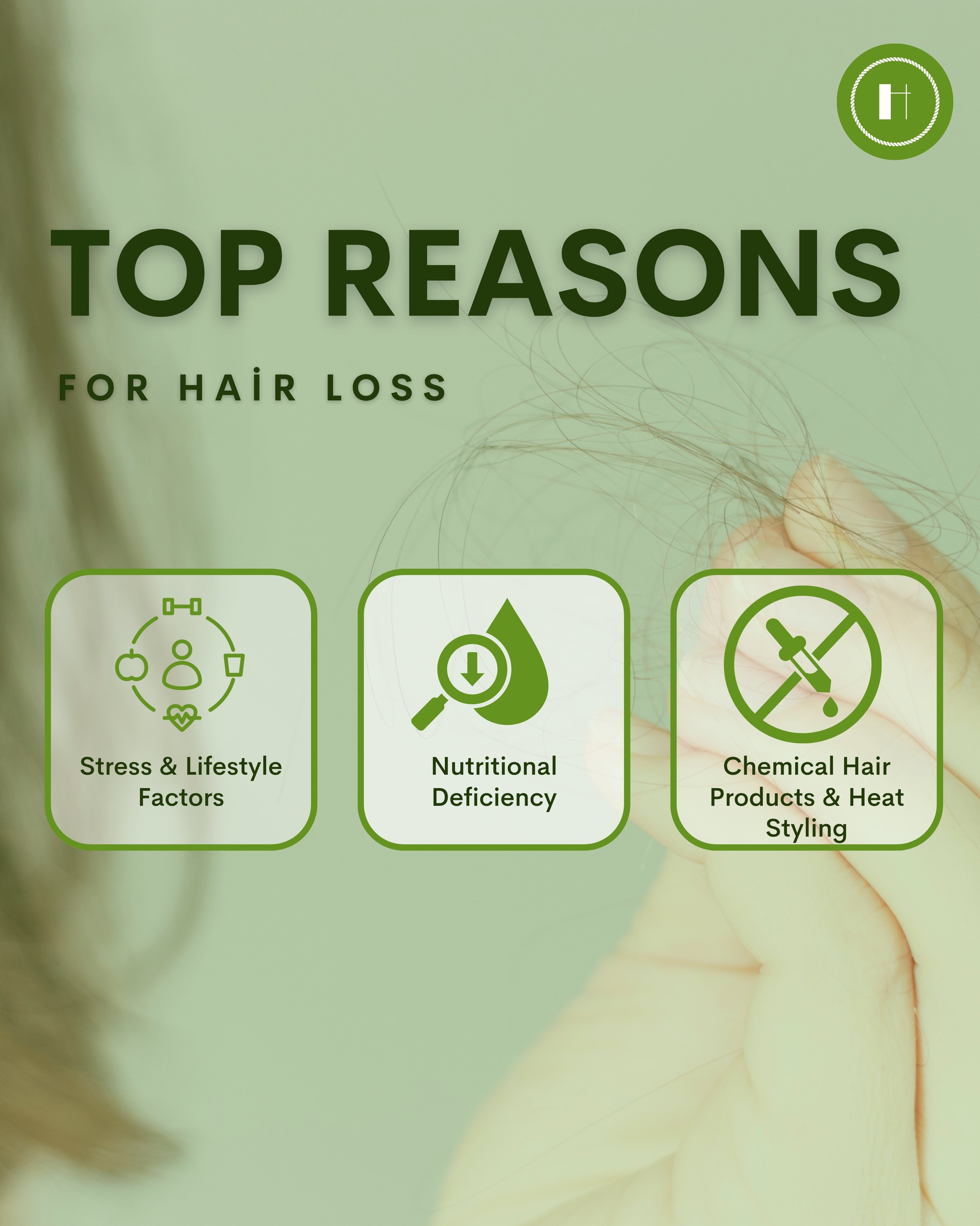 Herbalvala Natural Shampoo || Anti Hairfall & Anti Dandruff Shampoo || Shine with Goodness of 12 Herbs || All Hair Type