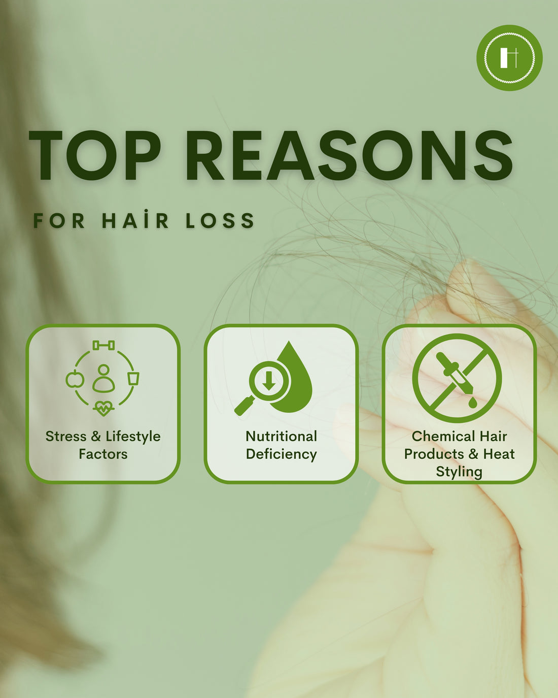 Herbalvala Natural Shampoo || Anti Hairfall & Anti Dandruff Shampoo || Shine with Goodness of 12 Herbs || All Hair Type