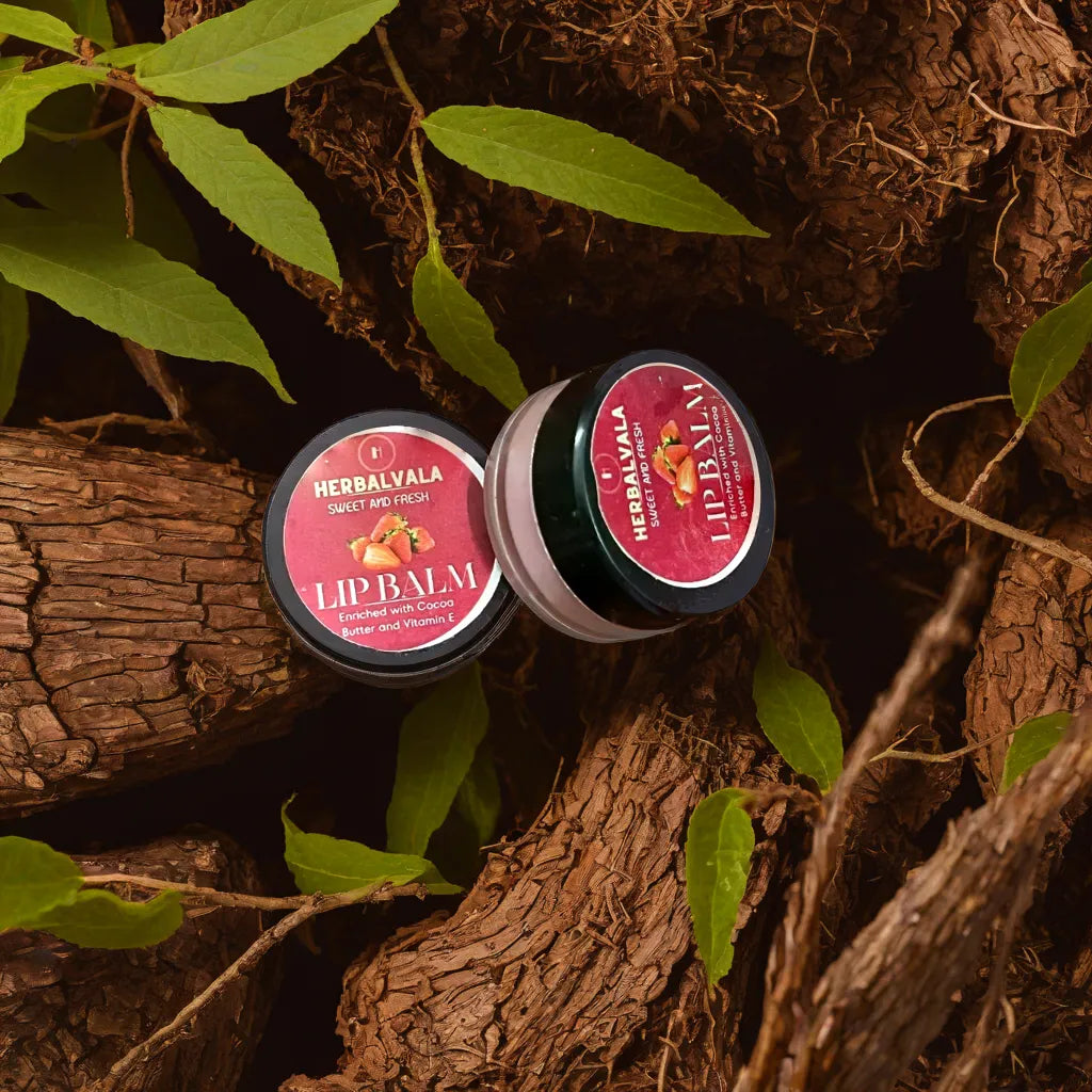 Herbalvala Lip Balm Combo of Strawberry + Beetroot + Coffee Flavour for Lip Care – Pack of 3